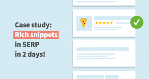 Google Rich Snippets case study